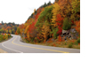 Fall into Customer Loyalty with Autumn Car Care